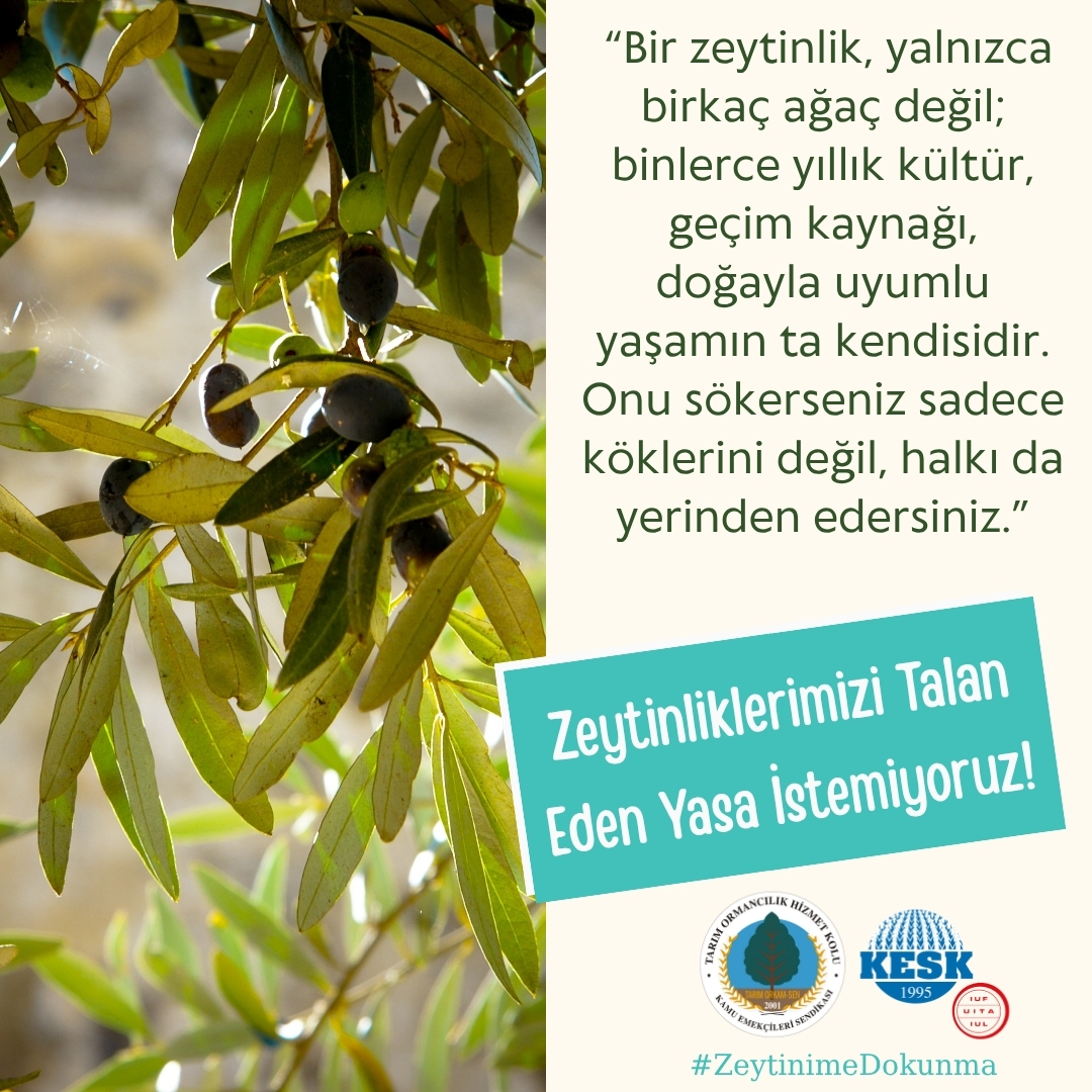 Zeytinliklerimizi Talan Eden Yasa İstemiyoruz!

“Bir zeytinlik, yalnızca birkaç ağaç değil; binlerce yıllık kültür, geçim kaynağı, doğayla uyumlu yaşamın kendisidir. 
Onu sökerseniz sadece köklerini değil, halkı da yerinden edersiniz.”

#MadenYasasınıGeriCek
<a href="/csbgovtr/">T.C. Çevre, Şehircilik ve İklim Dğş. Bakanlığı</a>
<a href="/TCTarim/">T.C. Tarım ve Orman Bakanlığı</a>