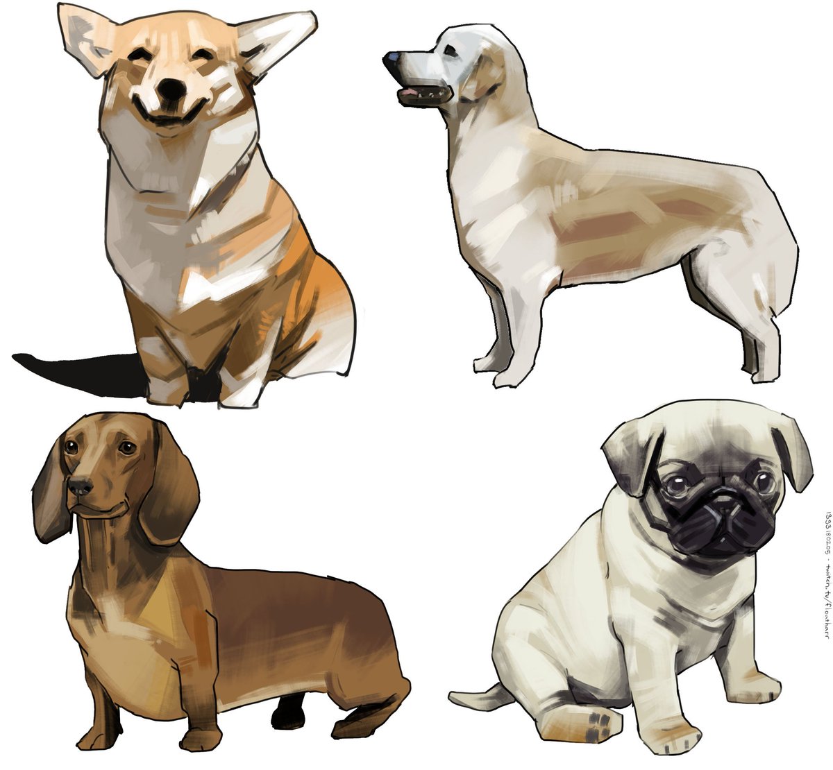 doggy photo studies from 2018. I love how graphic they look #drawing #digitalart