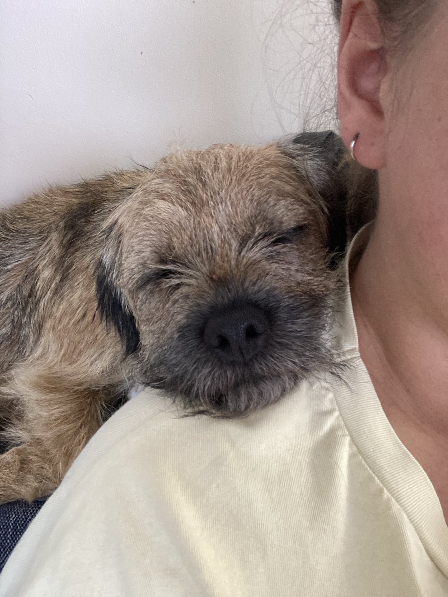 When mum feels rubbish, I try to comfort her! Harder when the baby is on her lap. I have to improvise.