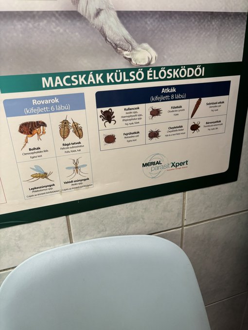 Watch Amber Kawaii's leaked NSFW photo on TwXstars