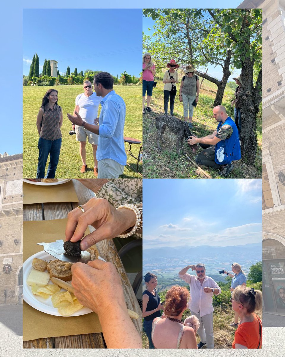 Comitel & Partners tweet media