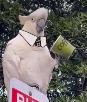 🦜