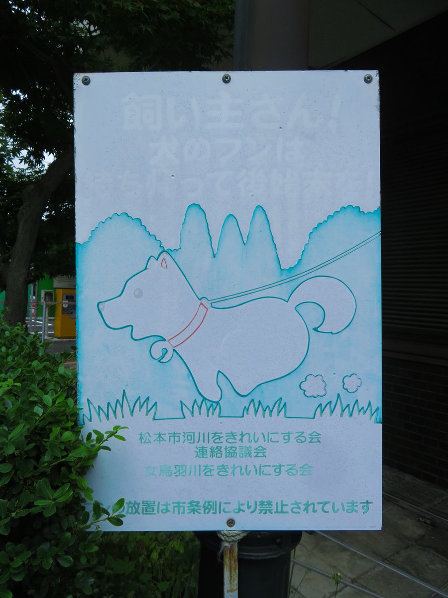 ちりちりあたま (@geo_koshi) on Twitter photo 