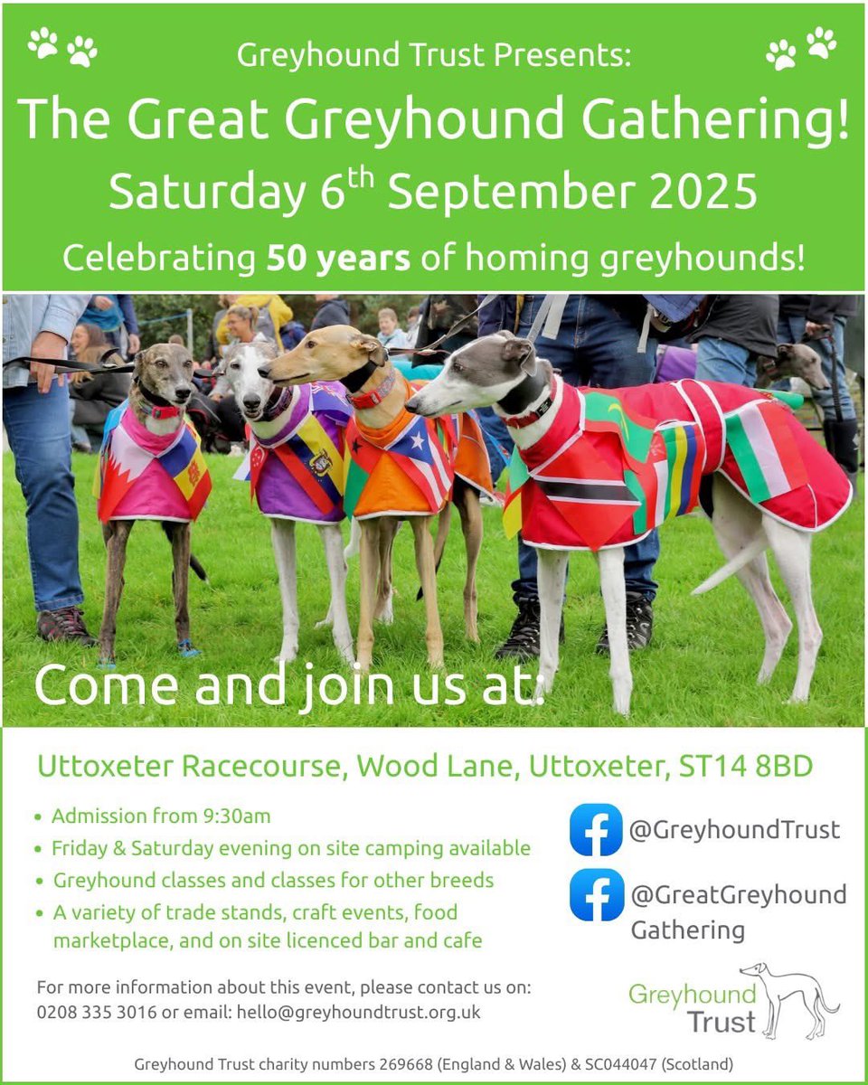 Who’s going to the Great Greyhound Gathering in September? 

I might have a surprise for you 👀