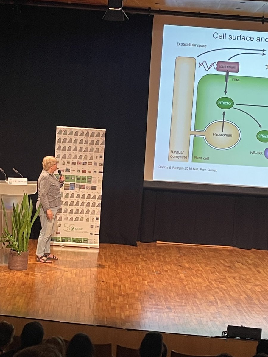 Today que learned a lot about immunity regulation at the plenary talk by Jane Parker
#IberianPlantBiology2025