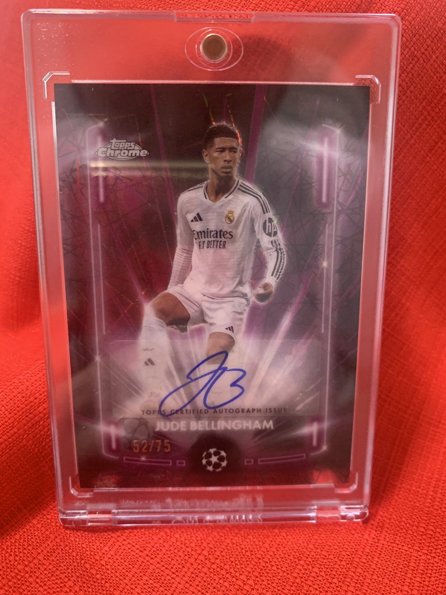 まぁさページ まぁさ🐩💟 (@martha_pd) / Posts / X