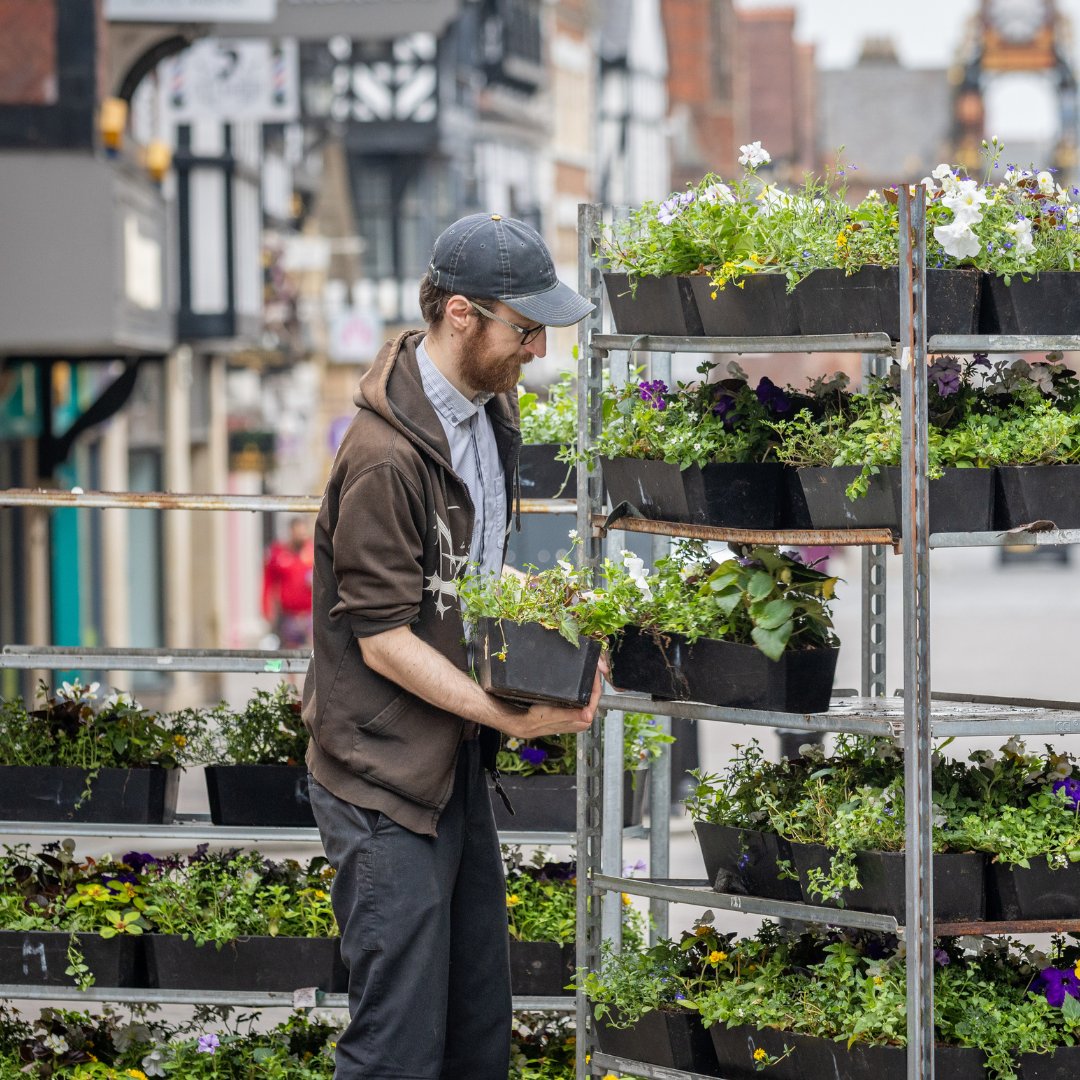 ChesterBID's tweet image. Over a month on from planting, #Chester City Centre is now bursting with colour — and the #flowers are looking more beautiful than ever! Take a moment to soak in the vibrant floral displays from Bridge to Northgate, Watergate to Foregate. 🌺🌼
#Summer #ChesterInBloom