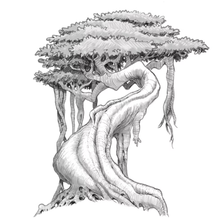 Digital Trees Selection by Nicolas Weis - check his profile on IAMAG Community : https://t.co/Y7ciCrdkEQ 