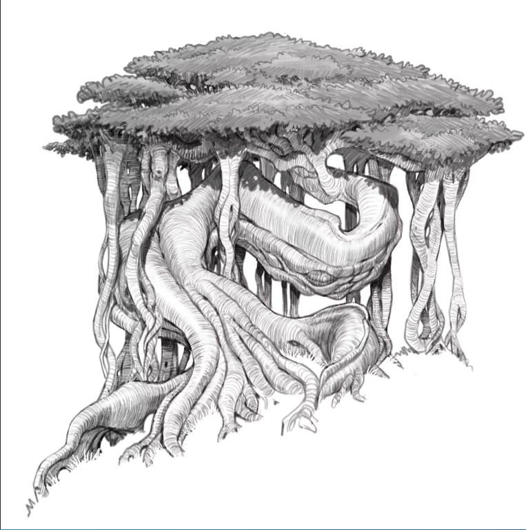 Digital Trees Selection by Nicolas Weis - check his profile on IAMAG Community : https://t.co/Y7ciCrdkEQ 