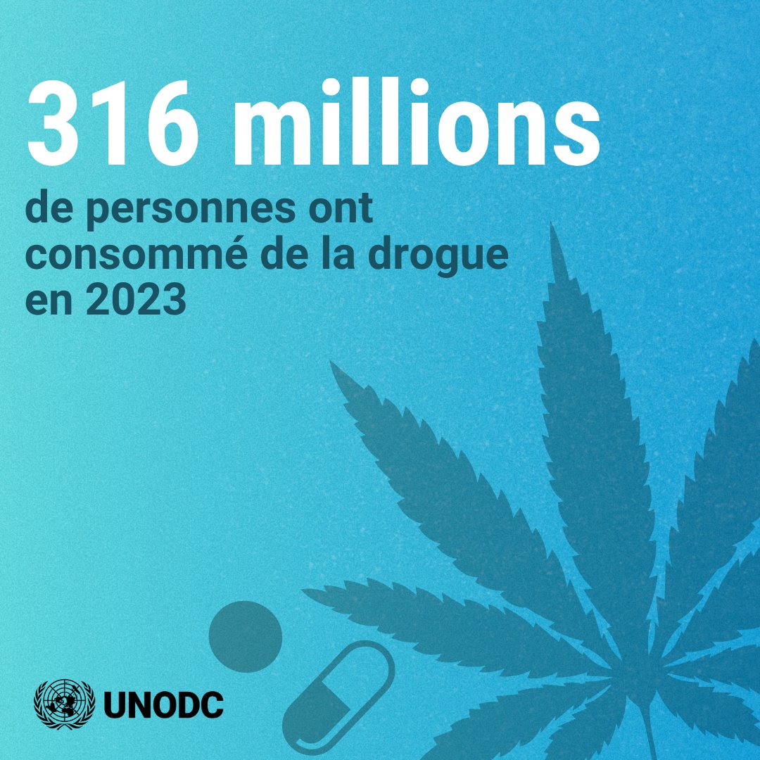🚨 La consommation de drogues atteint un niveau historique.

En 2023, 316 millions de personnes ont consommé des drogues (hors alcool et tabac), soit 6 % de la population mondiale âgée de 15 à 64 ans.

Découvrez les tendances dans le #WorldDrugReport  ⬇️
bit.ly/DrugReport2025