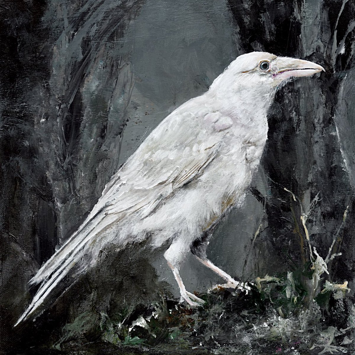 Happy Thursday!
5 editions left 🖤 hope you grab my 2025 raven🤍

“White Raven”
0.01 $eth
🔗 ⬇️