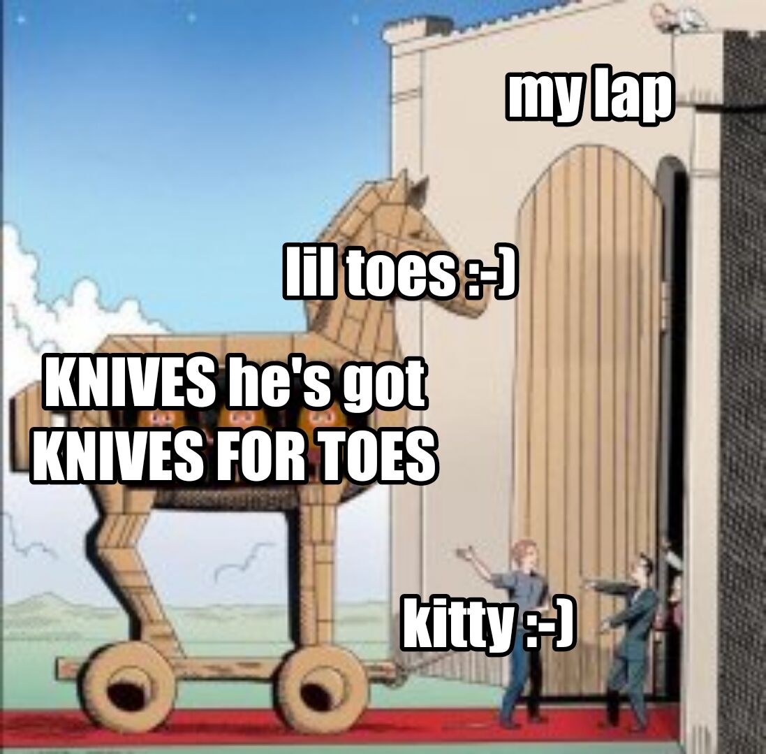 WholesomeMemes (@wholesomememe) on Twitter photo 