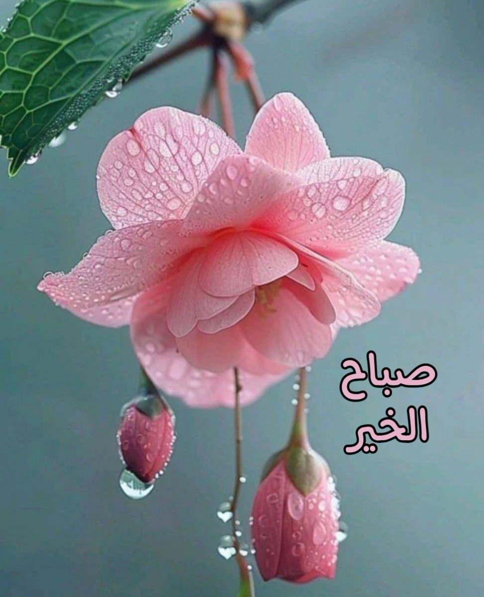 اللهم متعنا دائماً بخير الأيام وأجمل اللحظات 

 #صباح_الخير 
 #الخميس_الونيس 

‌