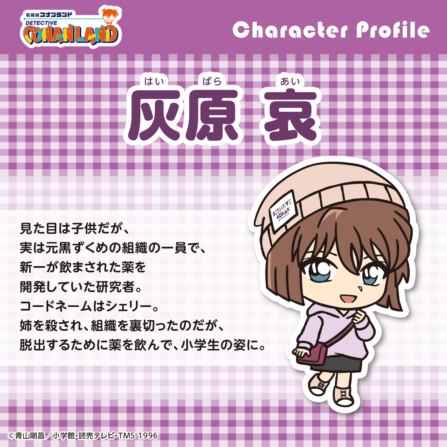 (匿名配送)名探偵コナン☆コナンランド☆灰原哀② 名探偵コナンランド【公式】 on X: 