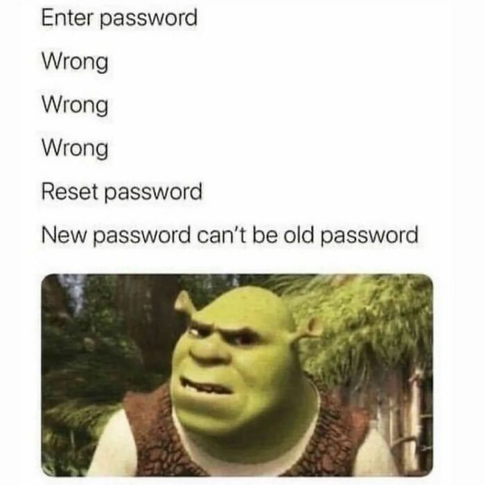 TheTechDuo_12's tweet image. password struggles..🥲
#TechStruggles #ShrekMood