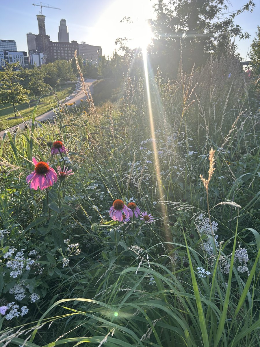 🌷🌿 Ashlee Coffey 🌿🌷 (@_ashleecoffey_) on Twitter photo 