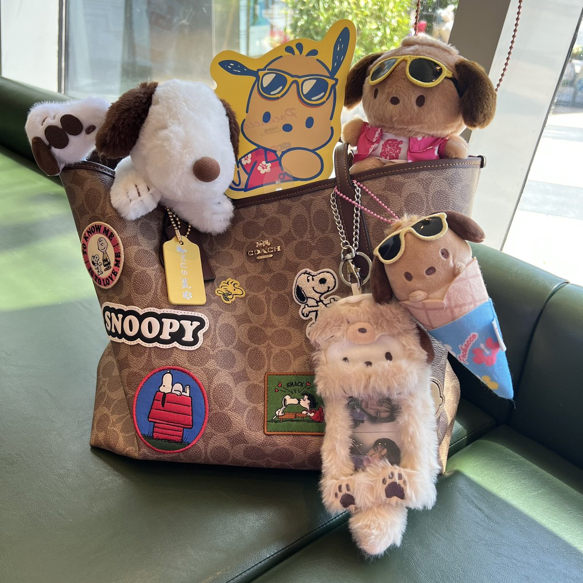 muscookie's tweet image. 小狗全肯定bag！