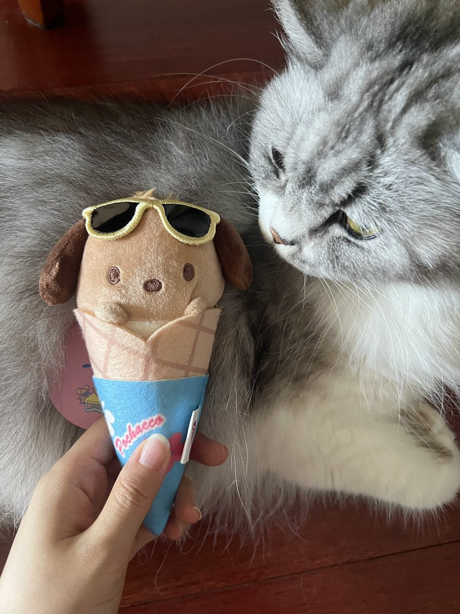 muscookie's tweet image. 小狗全肯定bag！