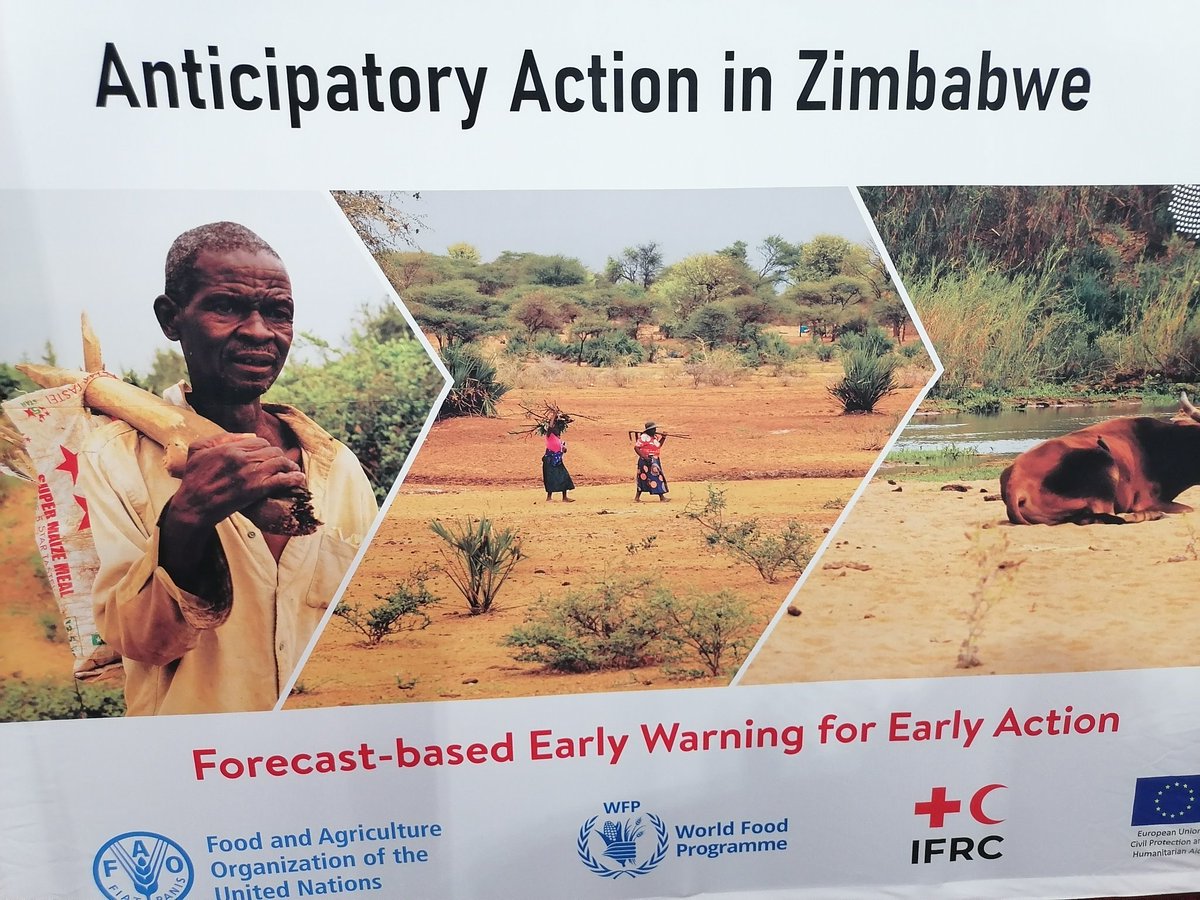 The Southern Environment (@southern_enviro) on Twitter photo A successful implementation of an anticipatory action project by <a href="/faosfsafrica/">FAO Subregional Office for Southern Africa</a>, <a href="/WFP_Zimbabwe/">WFP Zimbabwe</a> & Zim Government has helped farmers from dry regions prepare & respond to droughts. A successful implementation of an anticipatory action project by <a href="/faosfsafrica/">FAO Subregional Office for Southern Africa</a>, <a href="/WFP_Zimbabwe/">WFP Zimbabwe</a> & Zim Government has helped farmers from dry regions prepare & respond to droughts.