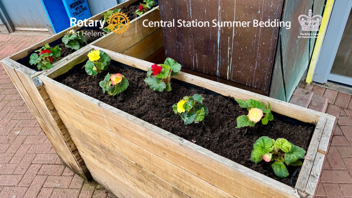 Rotary St Helens Brings Colour to Central Station with Summer Planting