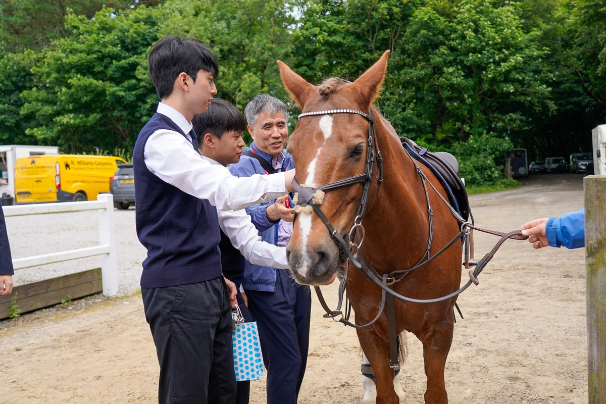 athenalearning_'s tweet image. Last week, CSIA welcomed guests from Korean Science Academy &amp;amp; Fort Richmond Collegiate to Cornwall! They joined us at Pendarves Equestrian School for the Western Hunt Pony Inter-School Show Jumping.#extraordinaryexperiences