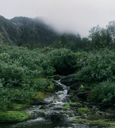 emctweep's tweet image. We all love this kind of weather look. Gloomy, cold and chilly.