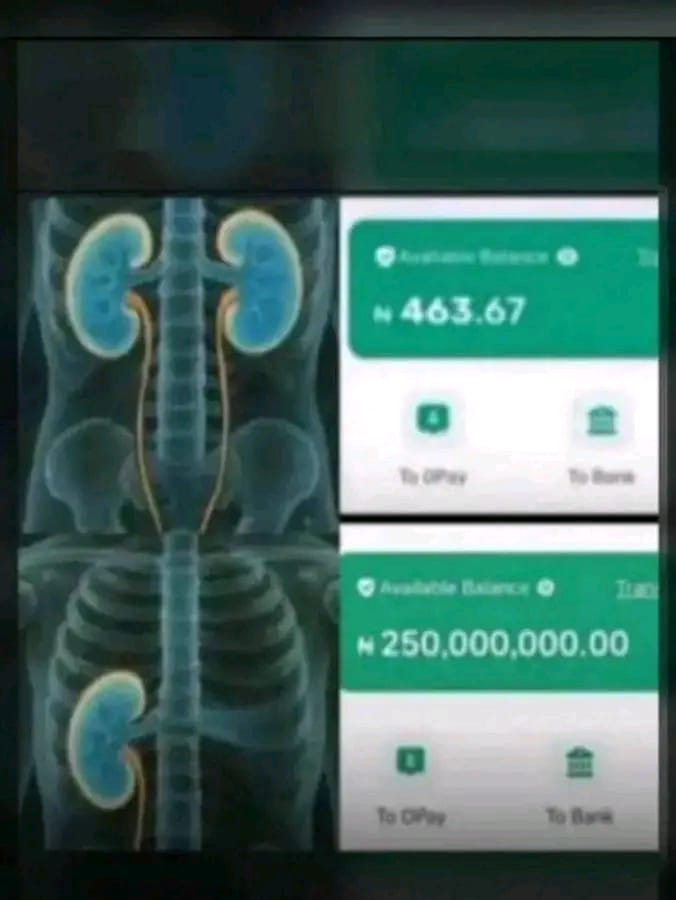 *یہ پوسٹ ان لوگوں کے لیے ہیں۔جو سمجھتے ہیں۔کہ وہ بغیر کسی ہنر اور محنت کے راتوں رات امیر ہوجاے۔وہ تصویر دیکھ کے ٹاسک کمپلیٹ کریں۔☺️☺️☺️*