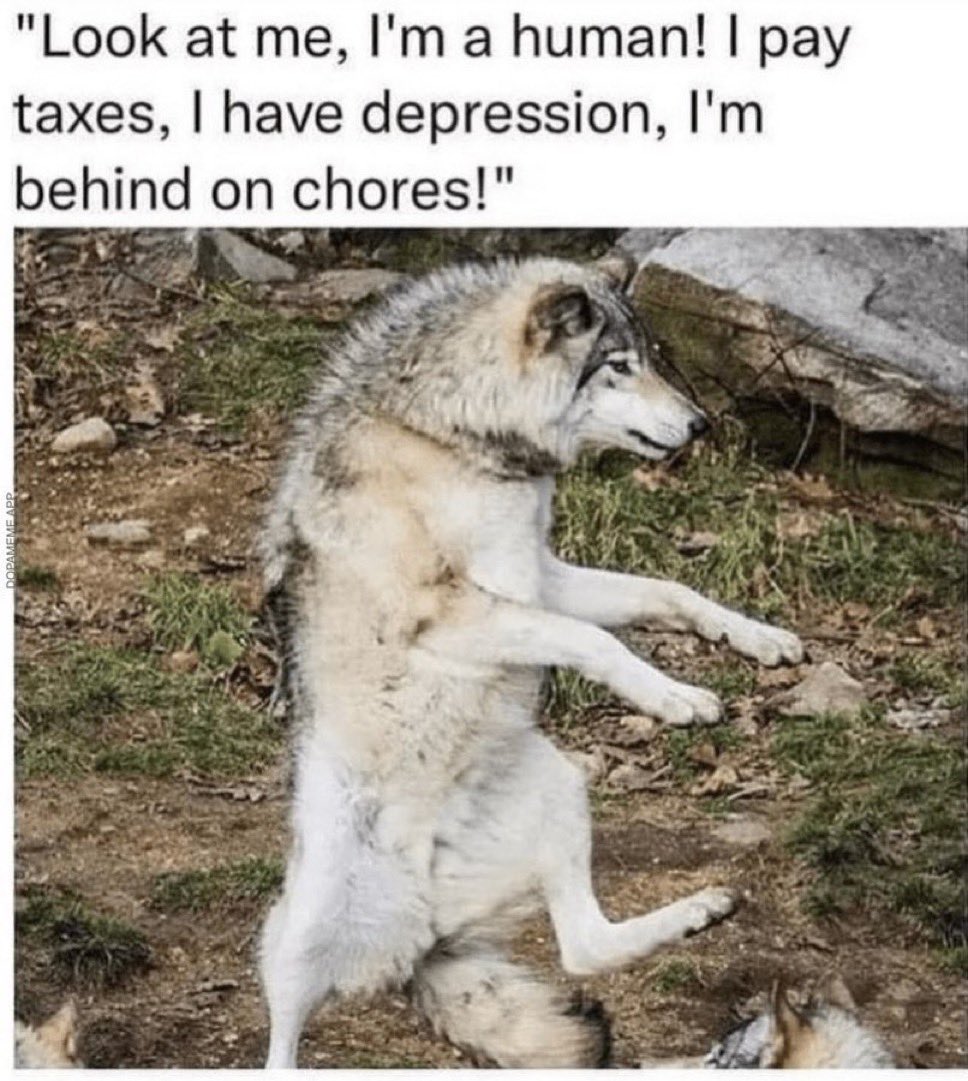 <a href="/clownworld/"></a> 😂