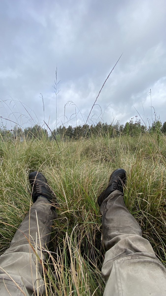 boyvoyageee's tweet photo. 🥾⛰️ https://t.co/XdiwxpbJuM
