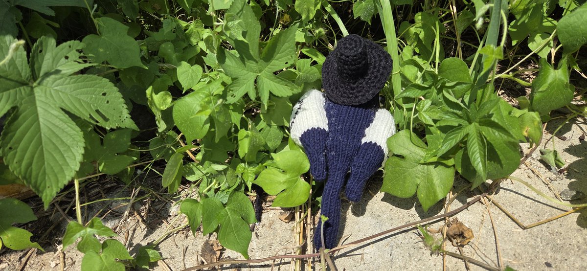 호럴로(<a href="/holloknit/">호럴로의 뜨개하는 집</a> )님의 까치 도안을 테스트니팅 했습니다! 조금 변형해서 케이팝 데몬 헌터스의 수지(서씨)를 만들었습니다☺ 도안이 세세하고 모양도 예쁘게 나와서 그대로 주욱 따라가면 되서 좋았습니다!
저는 솜을 많이넣어서 빵실 수지가 되었네요 ㅋㅋ
#KPOPDEMONHUNTERS