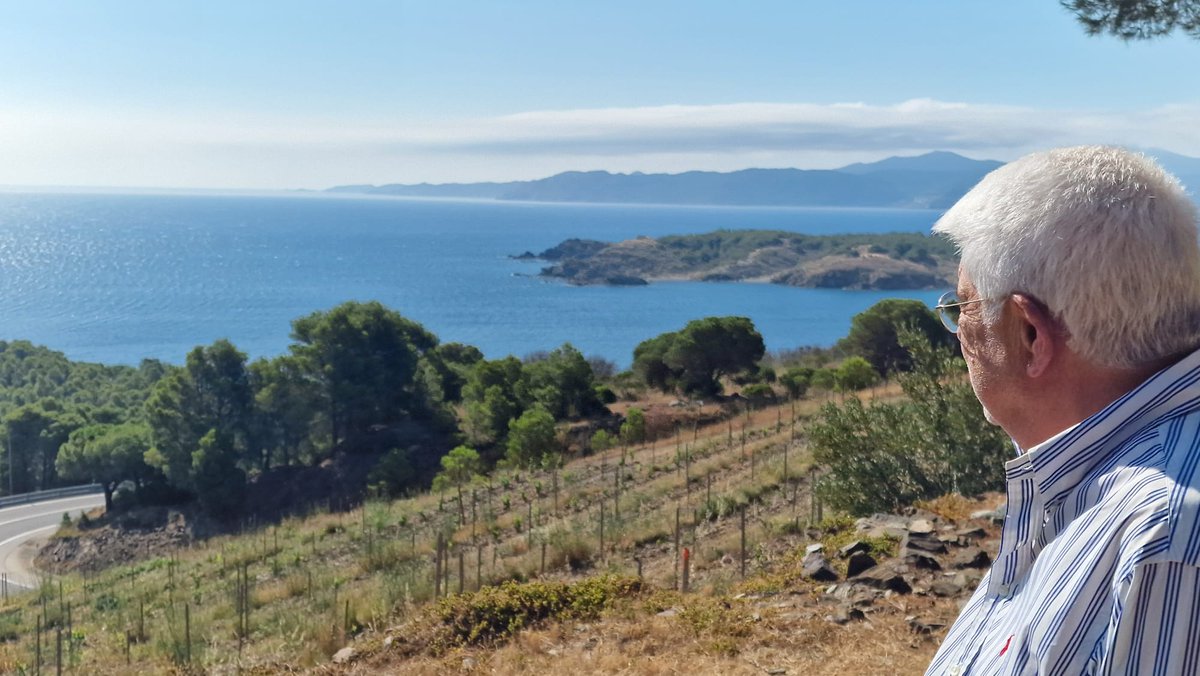 La vinya més bonica del país, trepitjada per primer cop. xavierfebres.com/2025/07/la-vin…