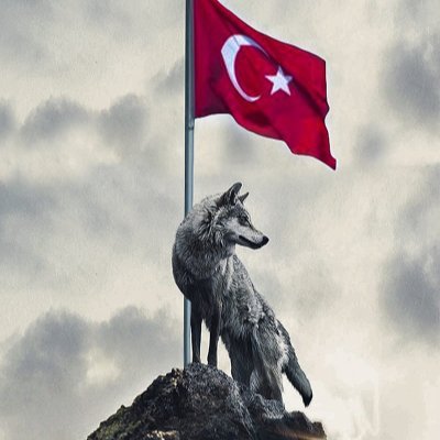 Selamün aleyküm hayırlı sabahlar 
Nerede bir Türk varsa soyu yürüsün 
Nerede bir Türk düşmanı varsa soyu kurusun.
🤘🐺🇹🇷