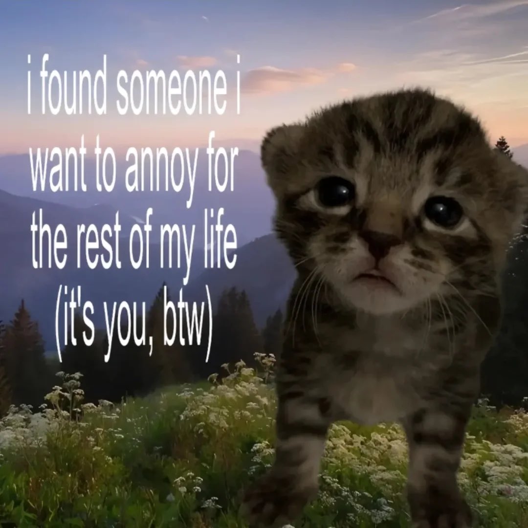 Miaw's tweet photo. https://t.co/M8bAKZqoKv