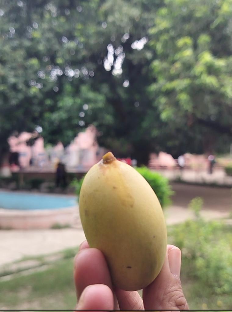 महामना पंडित मदन मोहन मालवीय जी को हम सब प्रणाम करते हैं आपके संकल्पों के द्वारा निर्मित काशी हिंदू विश्वविद्यालय परिसर में आम और जामुन के बहुत से पेड़ वर्तमान में आपके द्वारा उसे सिंचित भूमि का प्रसाद जन जन ग्रहण कर रहे हैं 
<a href="/DrVNMishraa/">Vijaya Nath Mishra O+</a> <a href="/BhuDiaries/">BHU Diaries</a> <a href="/bhupro/">BHU Official</a> <a href="/VCofficeBHU/">VC-BHU</a>