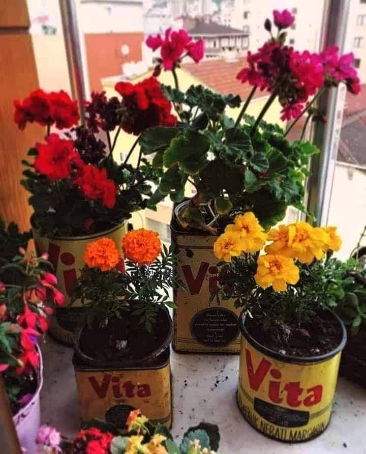 Ben çiçeklerin samimiyetine inanıyorum ... ister tenekeye ekin , isterse pahalı saksılara , emeğiniz kadar güzelleşiyorlar.

Nazım Hikmet