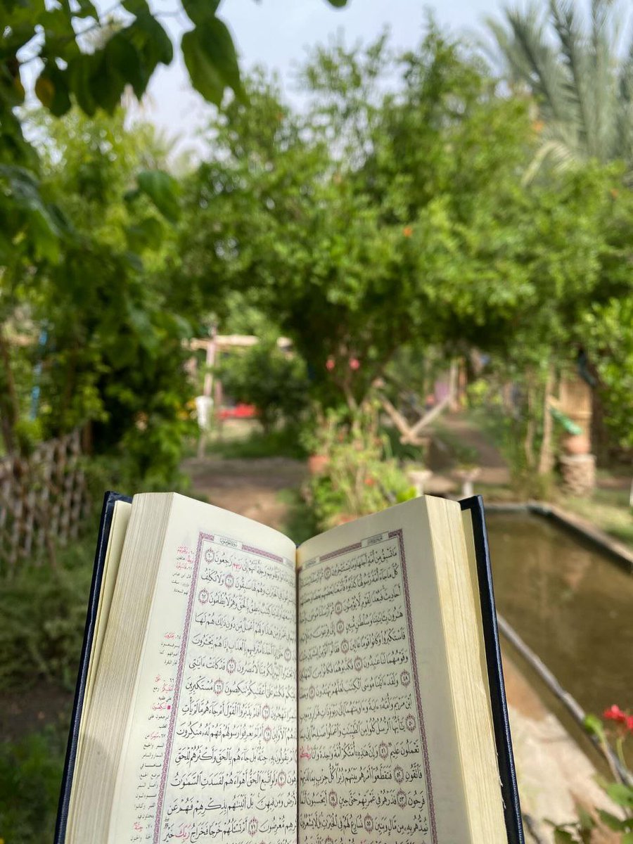 أتقن الصّبر لن تكسره الحياةومن عرف قيمة الحب في الله تهون عليه التضحيات ومن تقاسم السّعادة مع الأخرين أحس بقيمة الإنسانية كل شيء في هذه الدّنيا إما أن يتركك أو تتركه إلا الله إن أقبلت إليه أغناك وإن ابتعدت عنه ناداك سبحانك ربي ما أكرمك.اللهم استرنا في الدنيا والاخره 
#اذكر_الله