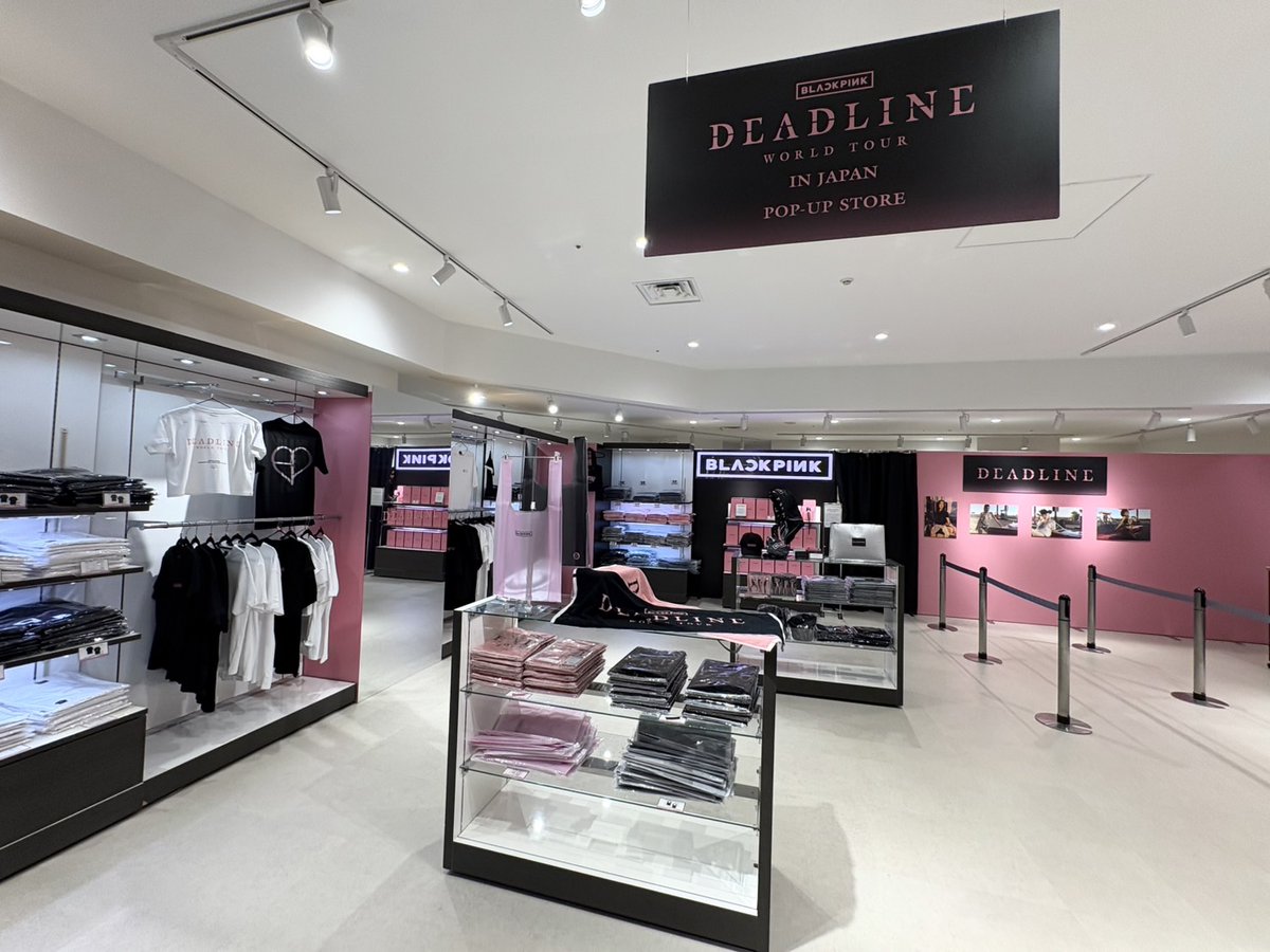 ❥・・ ┈┈┈┈┈┈┈┈┈┈ ・・❥ 𝐁𝐋𝐀𝐂𝐊𝐏𝐈𝐍𝐊 𝐖𝐎𝐑𝐋𝐃