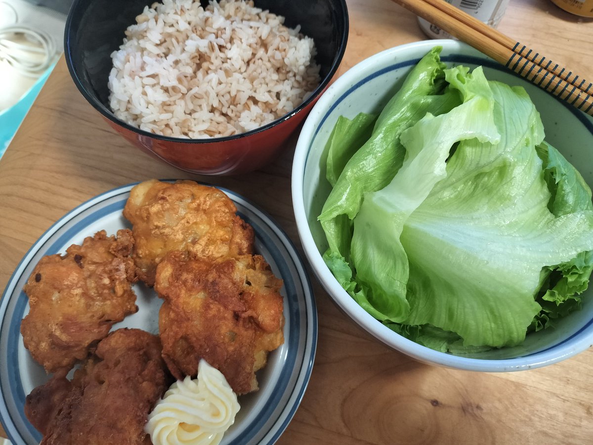 悲報　唐揚げおじさん今日も唐揚げ😵
プログラムより唐揚げ作るほうがうまいのなんか悲しい🥲
誰かに唐揚げ食べてほしいンゴねぇ🥹
プログラムは物体認識するクラスが多過ぎてアノテーション大変だし精度悪くて再考中😭