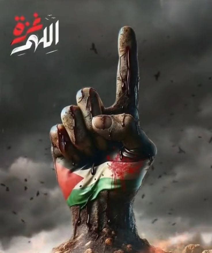 #غزه_تباد_وتحرق
تذكير خبر لا يهم العالم💔
مازالت غزة تذبح من الوريد 
للوريد  حسبنا الله ونعم الوكيل 
في الظالمين وأعوانهم اللهم أرنا
فيهم عجائب قدرتك يارب العالمين