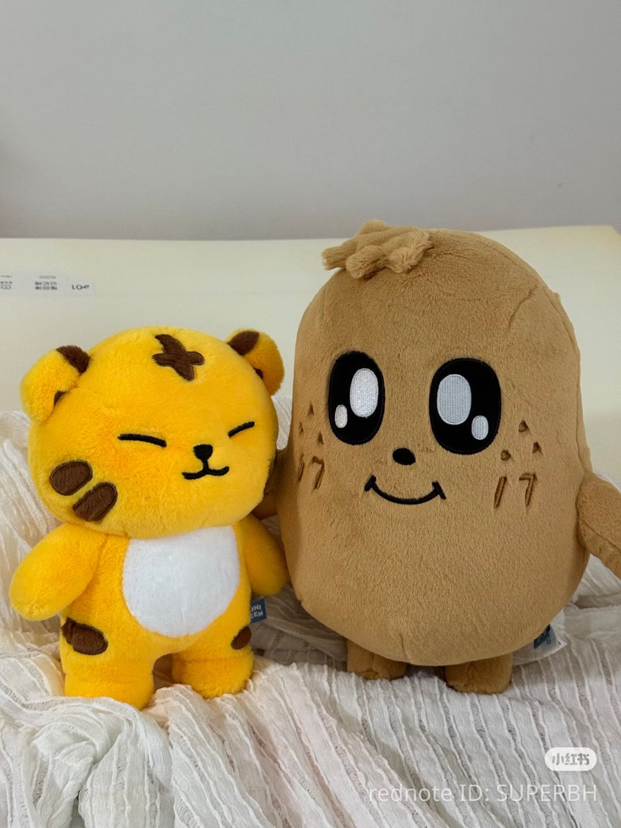 soongyu's tweet photo. carbon copy. https://t.co/OuxI7de8zv