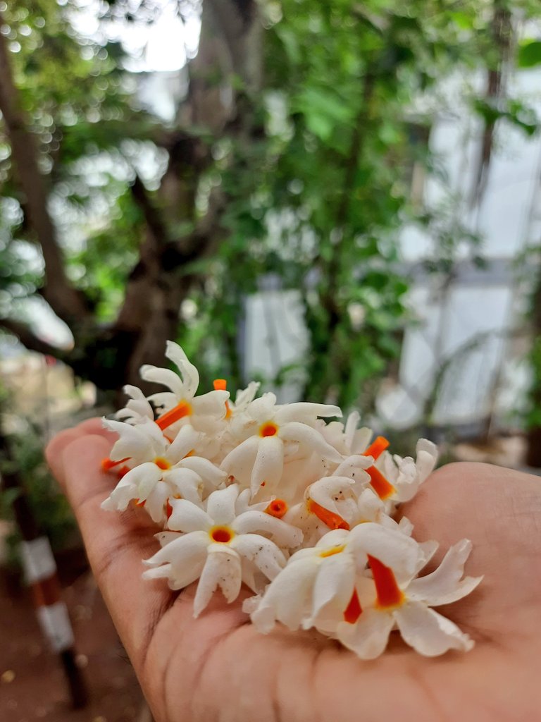 cogitare_01's tweet image. My only constant thought, my every wish, no matter where I am or what I am doing, is to find ways to make you smile. Everything beautiful I see reminds me of you✨
