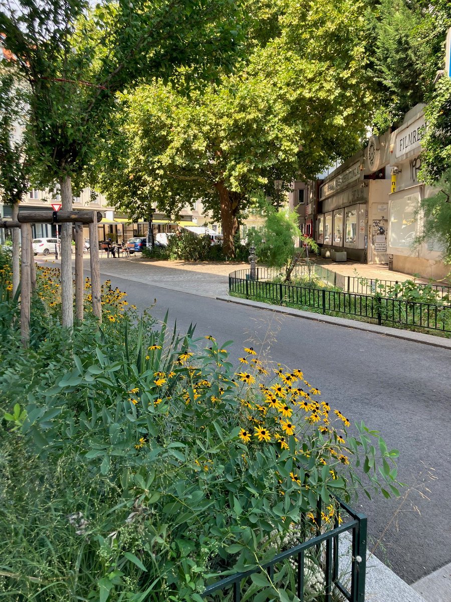 An einem #Hitzetag wie heute, ist besonders spürbar, wie wichtig mehr Bäume und mehr Grünflächen in den Straßen sind. Macht Straßen schöner und verbessert das #Mikroklima. Bitte mehr davon!