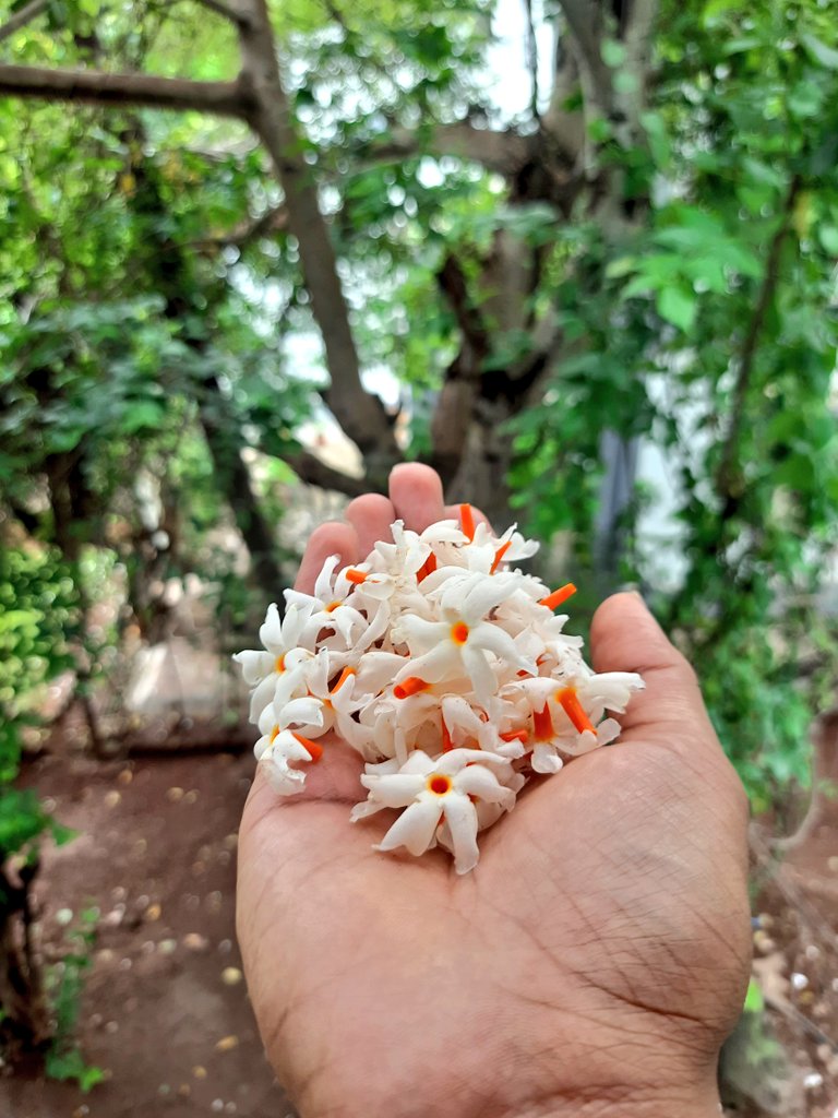 cogitare_01's tweet image. My only constant thought, my every wish, no matter where I am or what I am doing, is to find ways to make you smile. Everything beautiful I see reminds me of you✨