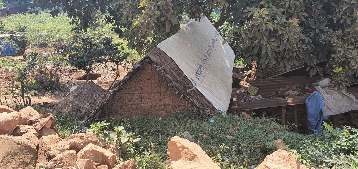 etiennemulindwa's tweet image. Série 2: ici le carré minier de #LOMERA_LUHIHI en territoire de #Kabare au #Sud_Kivu. Voici les maisons construites sur de montagnes d'OR. Maisons des autochtones qui vivent sur une mine d'OR. C'est à quelques kilomètres au Nord-Est de #Bukavu.