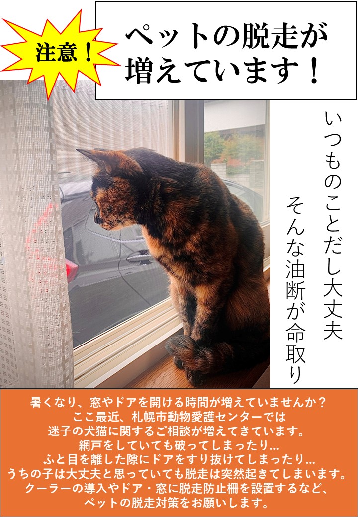 sapporo_dobutsu's tweet photo. 【脱走ダメ、絶対】暑くなり、窓やドアを開ける機会も多くなってきました。ここ数週間、動物愛護管理センターでは迷子の犬猫の相談が相次いでいます。しっかりとペットの脱走防止対策をして、暑い夏を乗り切りましょう。#犬　＃猫　#札幌 　#迷子犬 　#迷子猫 　#迷子猫犬 https://t.co/1mBoN0fjjR