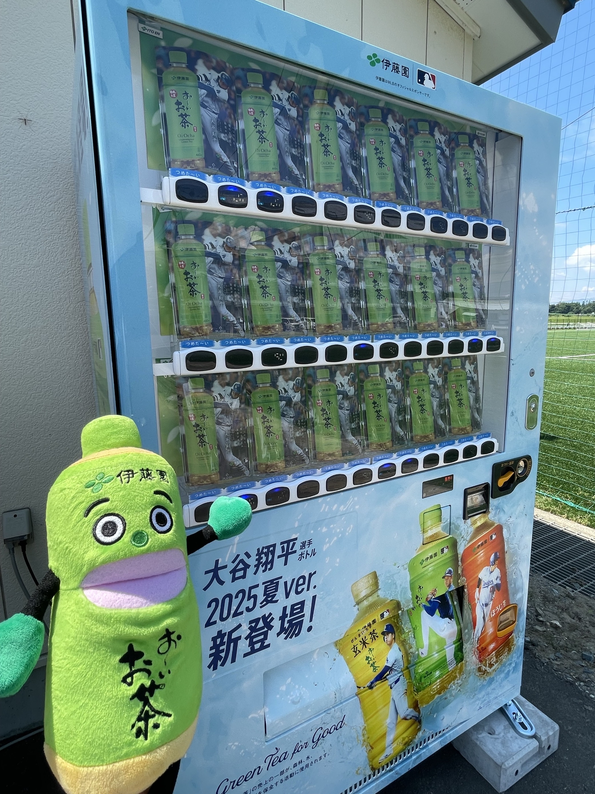 希少！ 当選品 伊藤園 おーいお茶 ぬいぐるみ お〜いお茶くん 希少！ 当選品 伊藤園 おーいお茶 ぬいぐるみ お〜いお茶くん