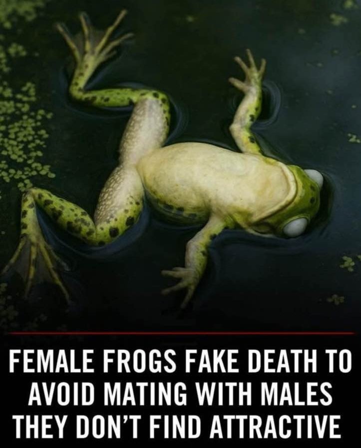 I guess frogs have more in Common with us than we thought 

#women
