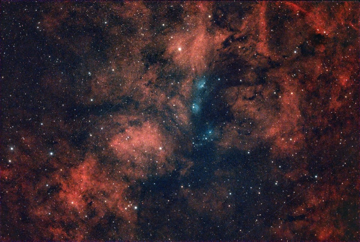 Dave_StarGeezer's tweet image. I had a very productive day and night yesterday. 😃
If you'd like to see more, visit my Flickr Page:
flickr.com/photos/eaglese…