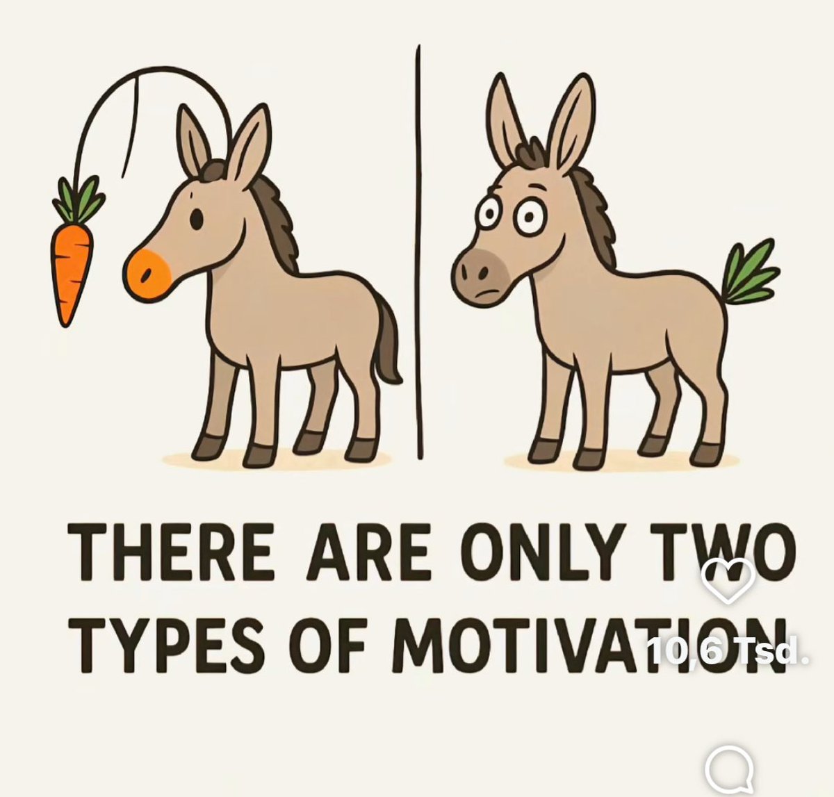 #Motivation - #carrot #breakfast Wie wäre es heute passend ?