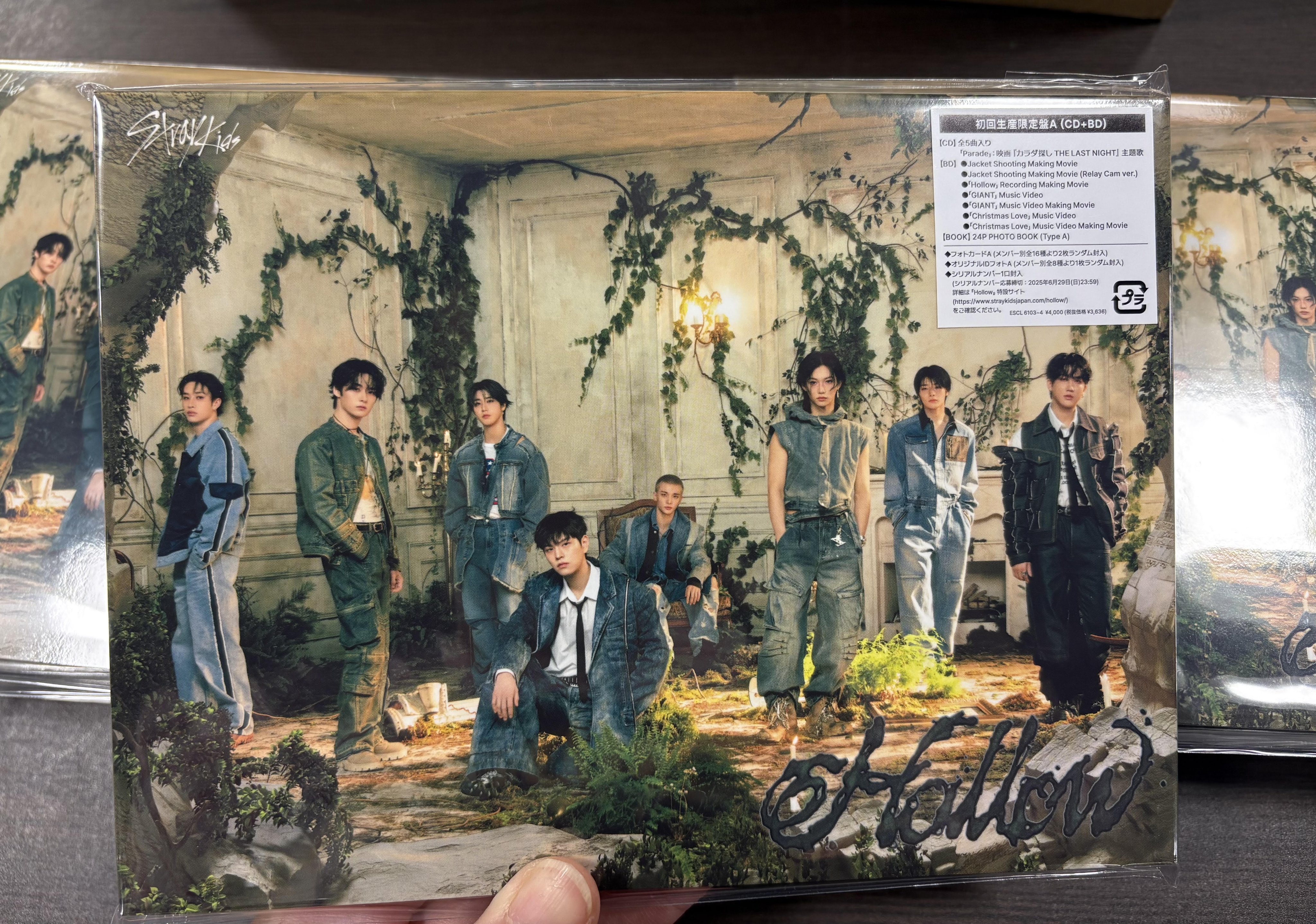 straykids HOLLOW タワレコ 特典 8枚セット トレカ StrayKids Hollow タワレコ特典 トレカ8枚セット - メルカリ